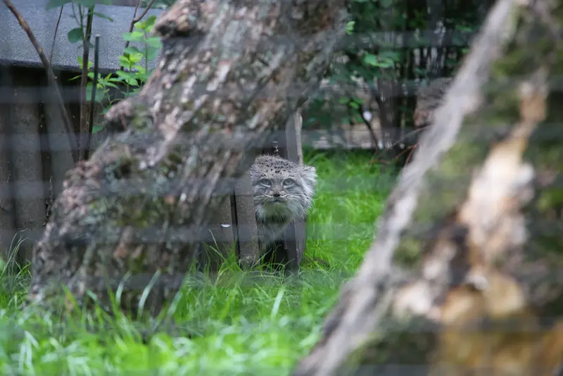 A photograph of Jessie in Warsaw Zoo