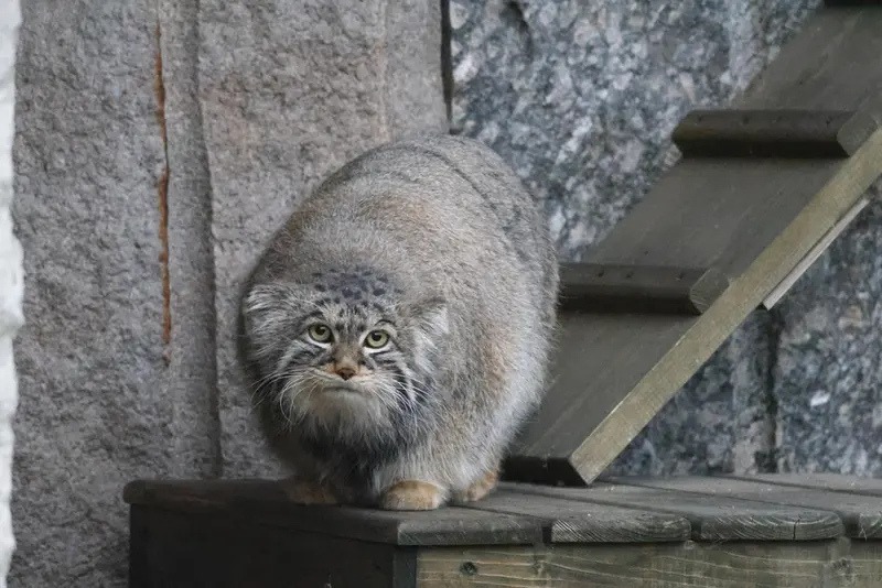 A photograph of Timofey in Moscow zoo
