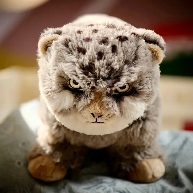 A photograph of a Pallas's cat
