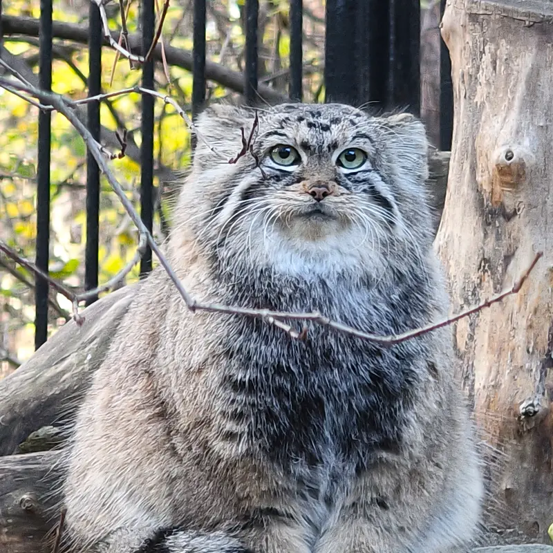 A photograph of Anya in Novosibirsk Zoo