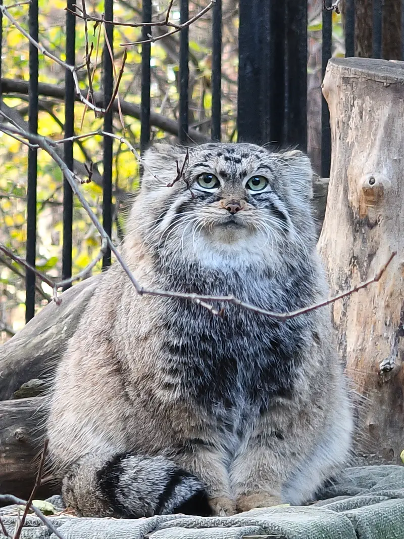 A photograph of Anya in Novosibirsk Zoo