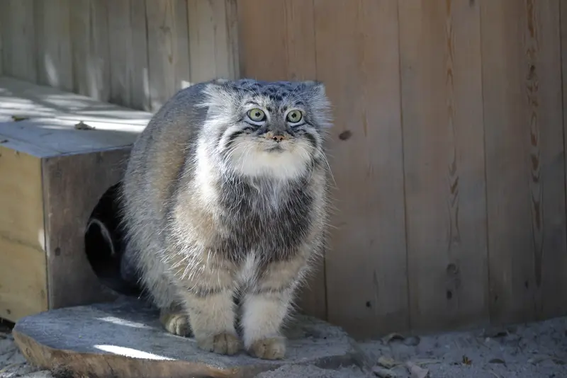 A photograph of Anya in Novosibirsk Zoo