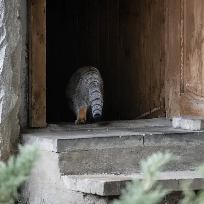 A photograph of Timofey in Moscow zoo