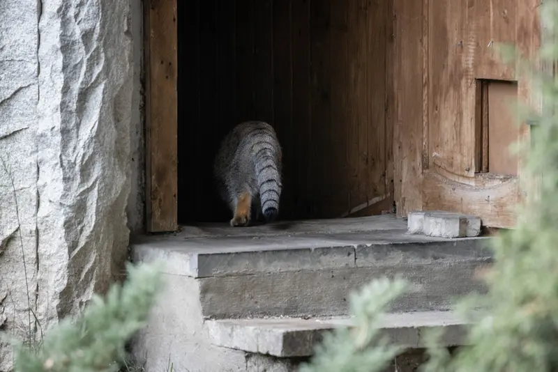A photograph of Timofey in Moscow zoo