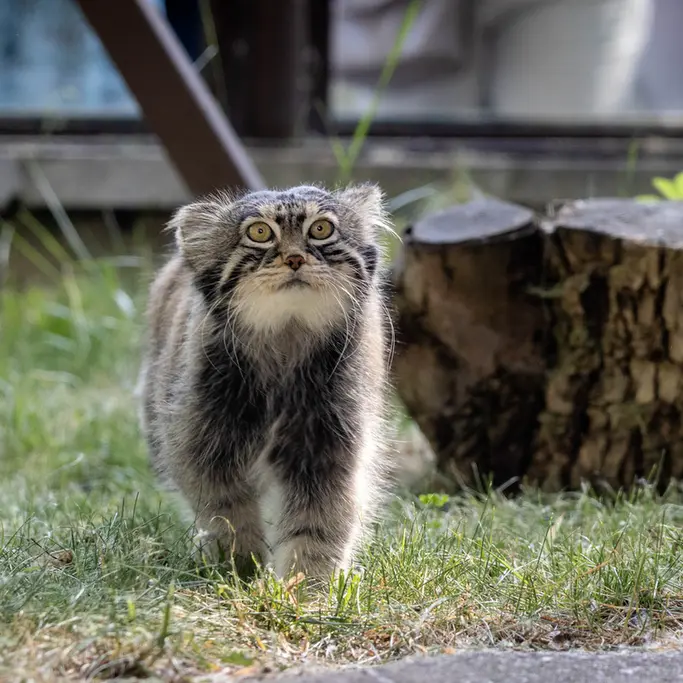 A photograph of Timofey in Moscow zoo