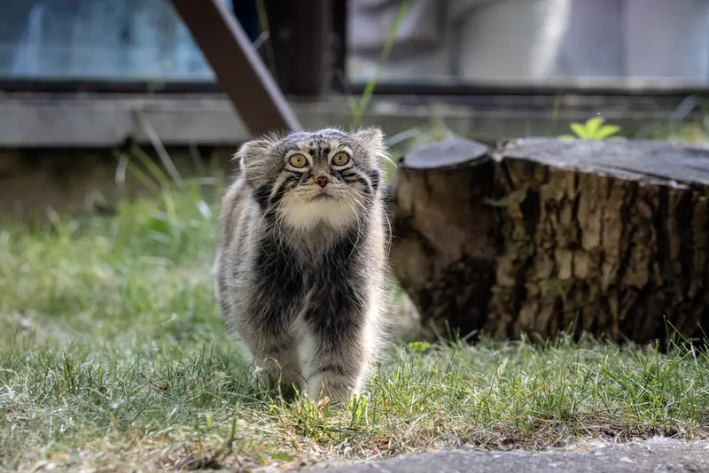 A photograph of Timofey in Moscow zoo