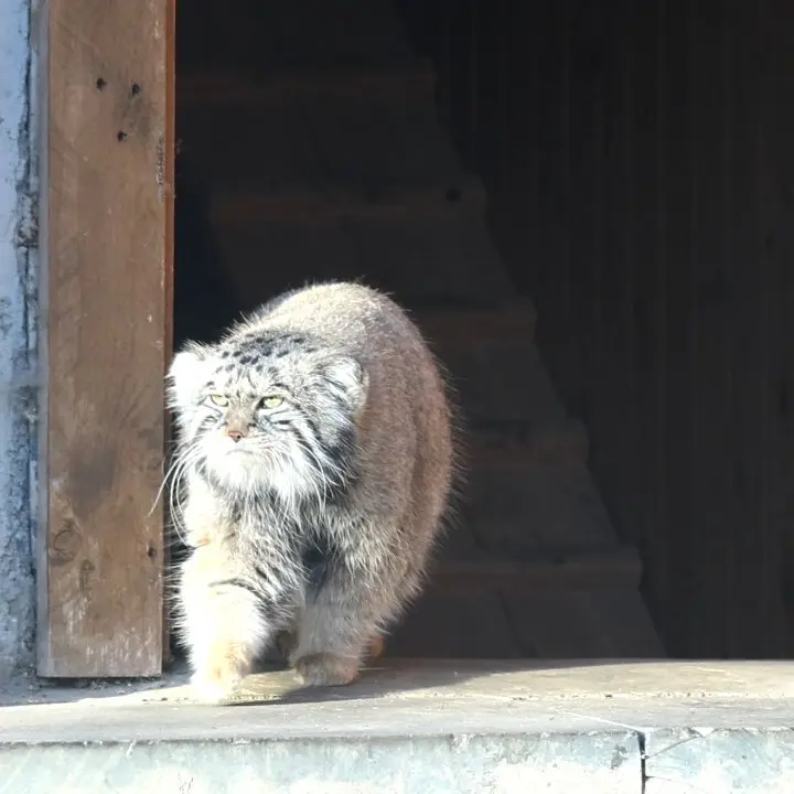 A photograph of Timofey in Moscow zoo