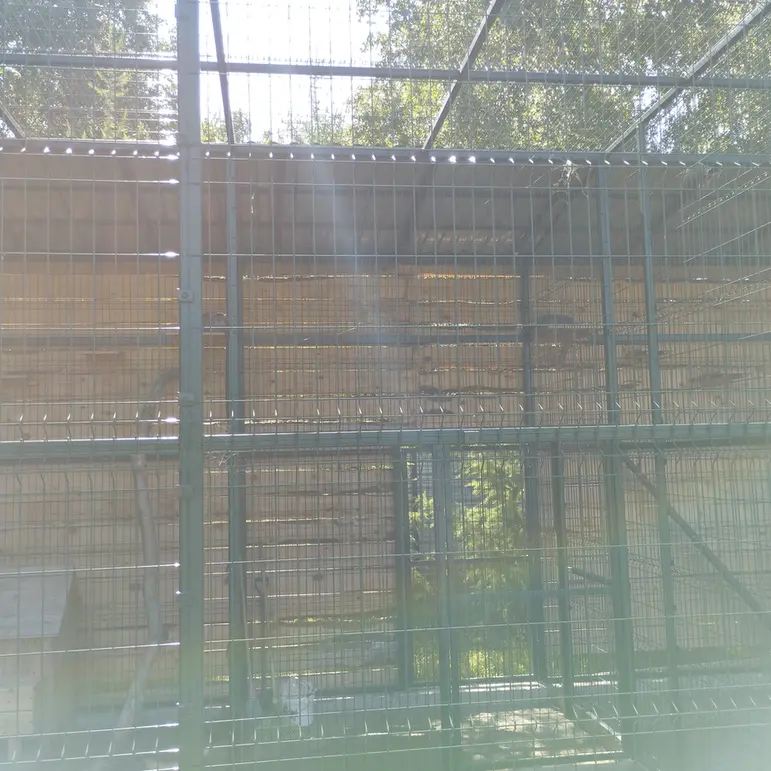 A photograph of Pepe and Chip in Barnaul zoo “Lesnaya skazka”