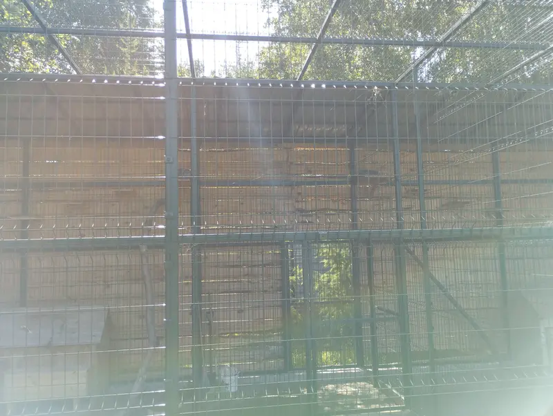 A photograph of Pepe and Chip in Barnaul zoo “Lesnaya skazka”