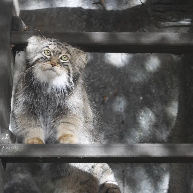A photograph of Timofey in Moscow zoo