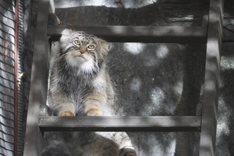 A photograph of Timofey in Moscow zoo