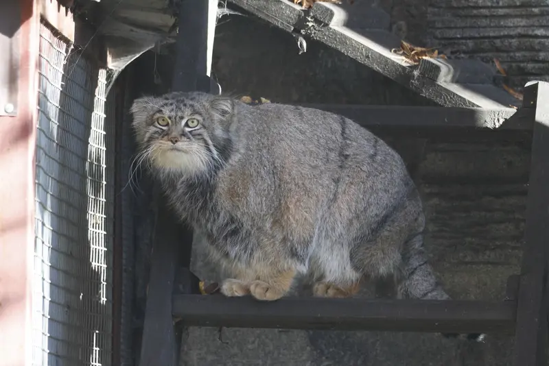 A photograph of Timofey in Moscow zoo