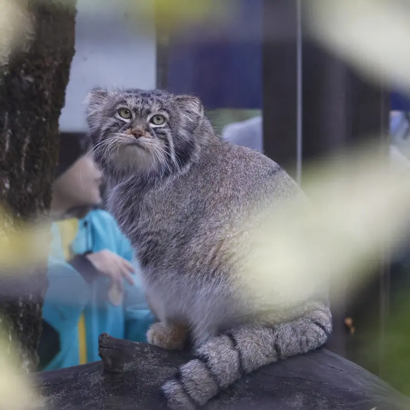 A photograph of Timofey in Moscow zoo