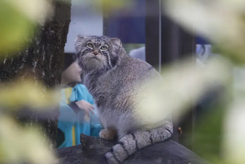 A photograph of Timofey in Moscow zoo