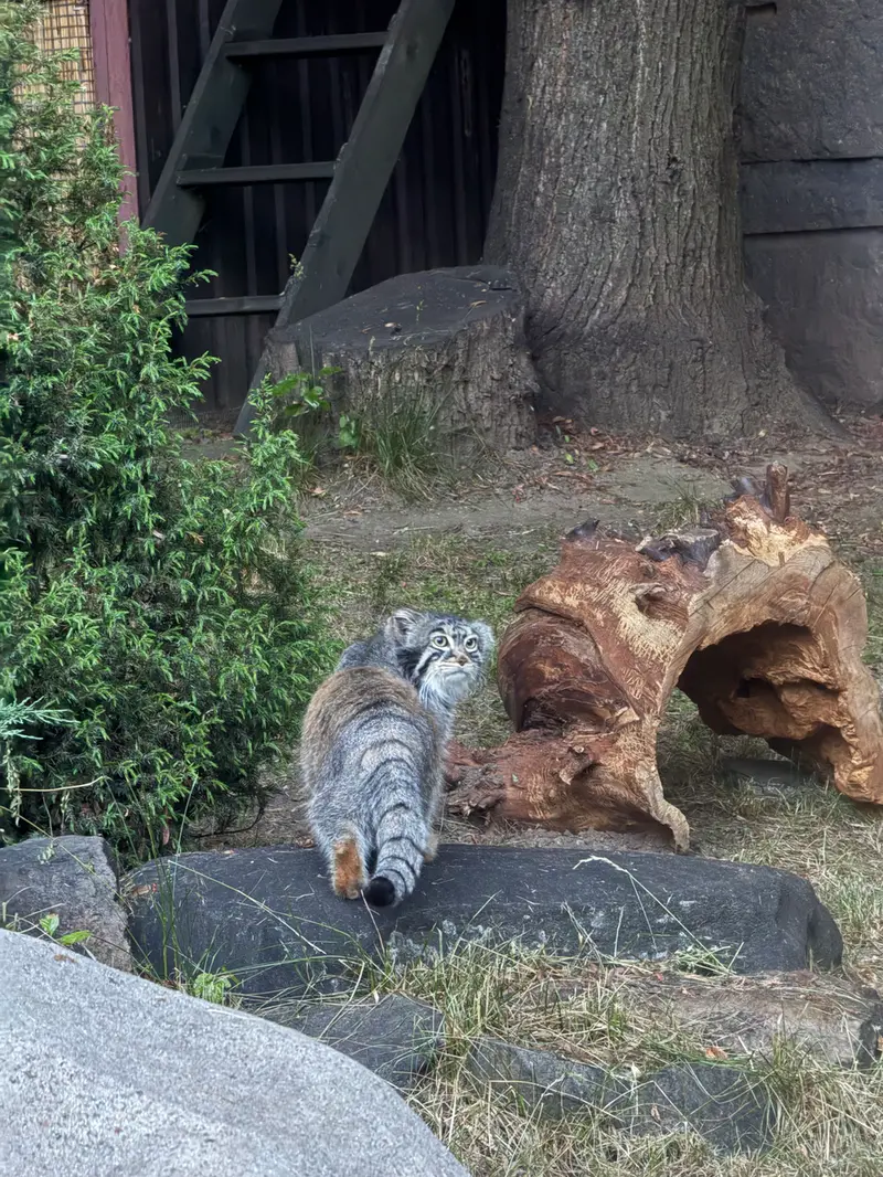 A photograph of Timofey in Moscow zoo