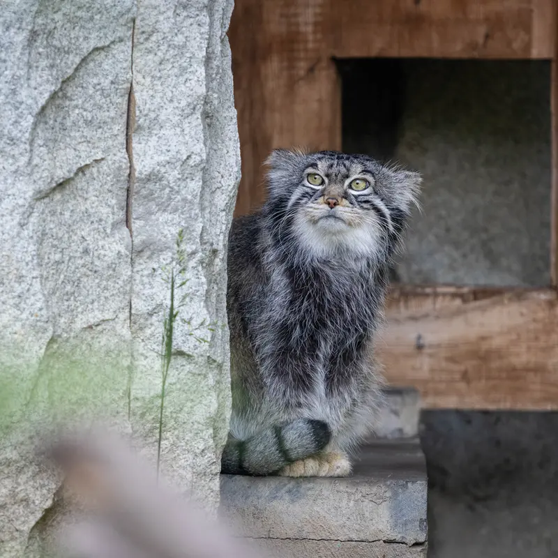 A photograph of Timofey in Moscow zoo