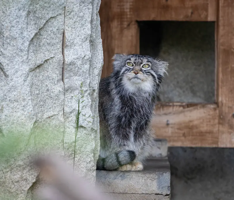 A photograph of Timofey in Moscow zoo