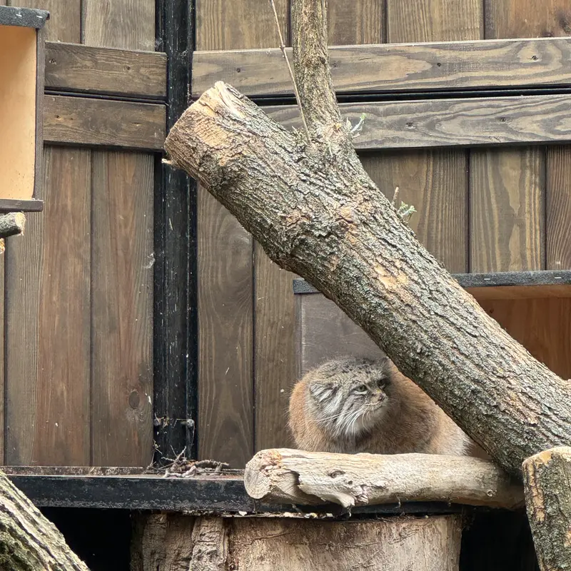 A photograph of Jessie in Warsaw Zoo