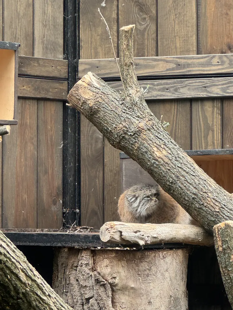 A photograph of Jessie in Warsaw Zoo