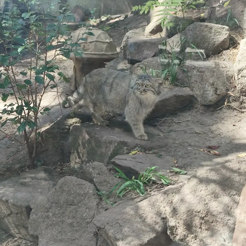 A photograph of Lucy in Budapest Zoo & Botanical Garden