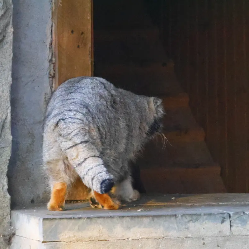A photograph of Timofey in Moscow zoo