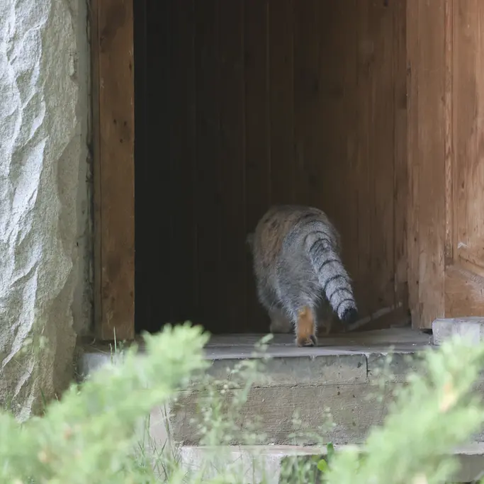A photograph of Timofey in Moscow zoo