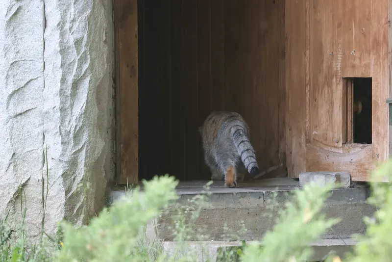 A photograph of Timofey in Moscow zoo