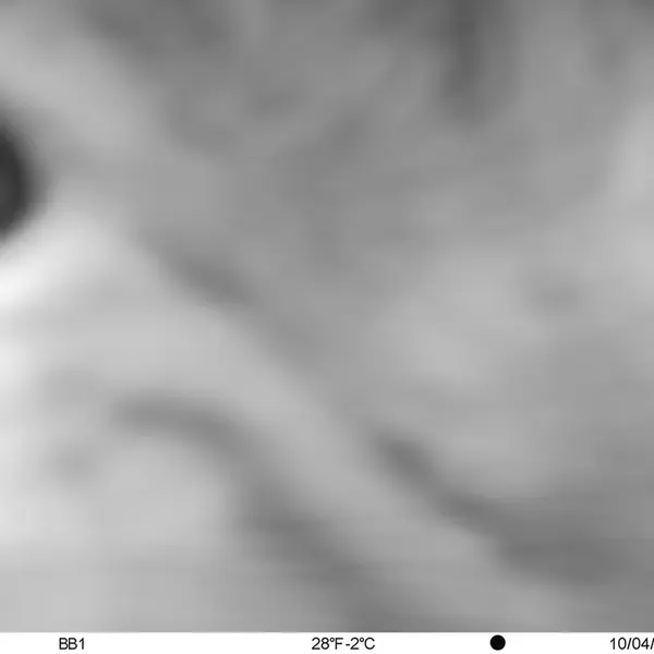 A photograph of Otocolobus manul manul from Aktas-Kunkora camera trap