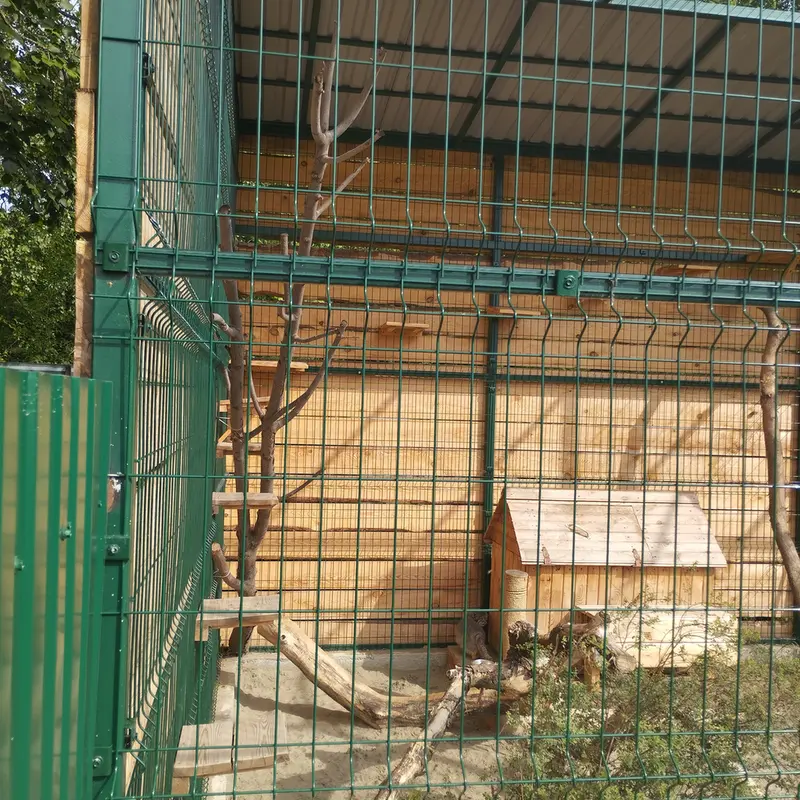 A photograph of Pepe in Barnaul zoo “Lesnaya skazka”