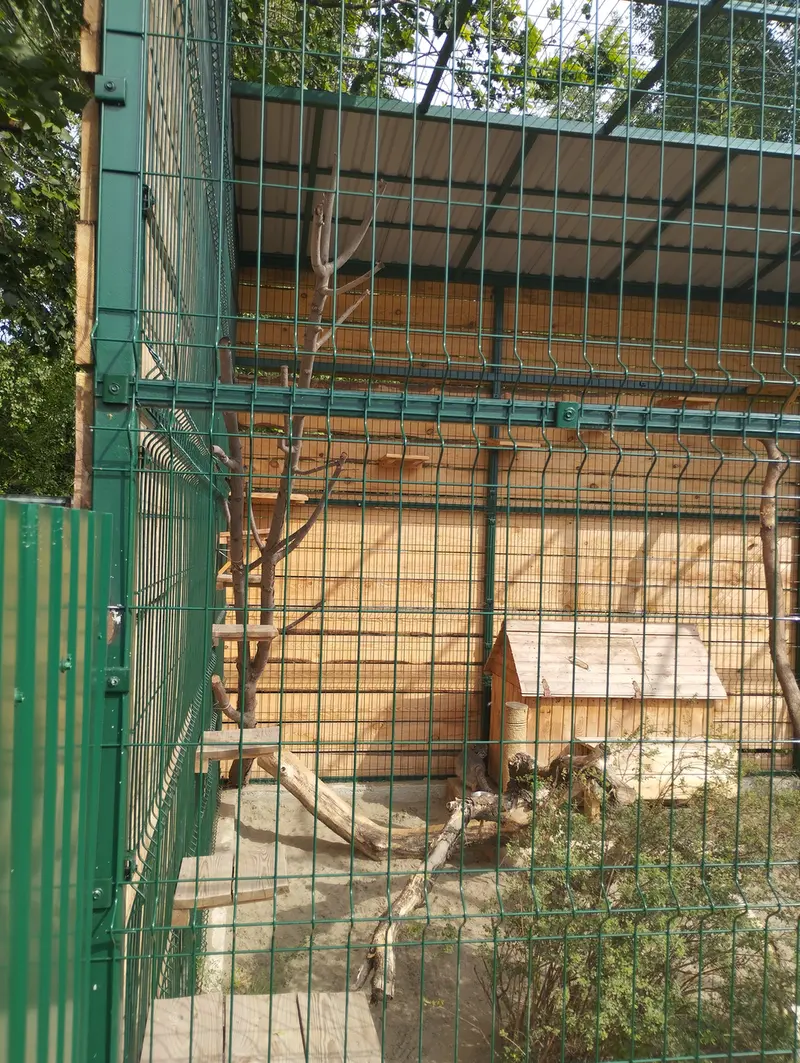 A photograph of Pepe in Barnaul zoo “Lesnaya skazka”