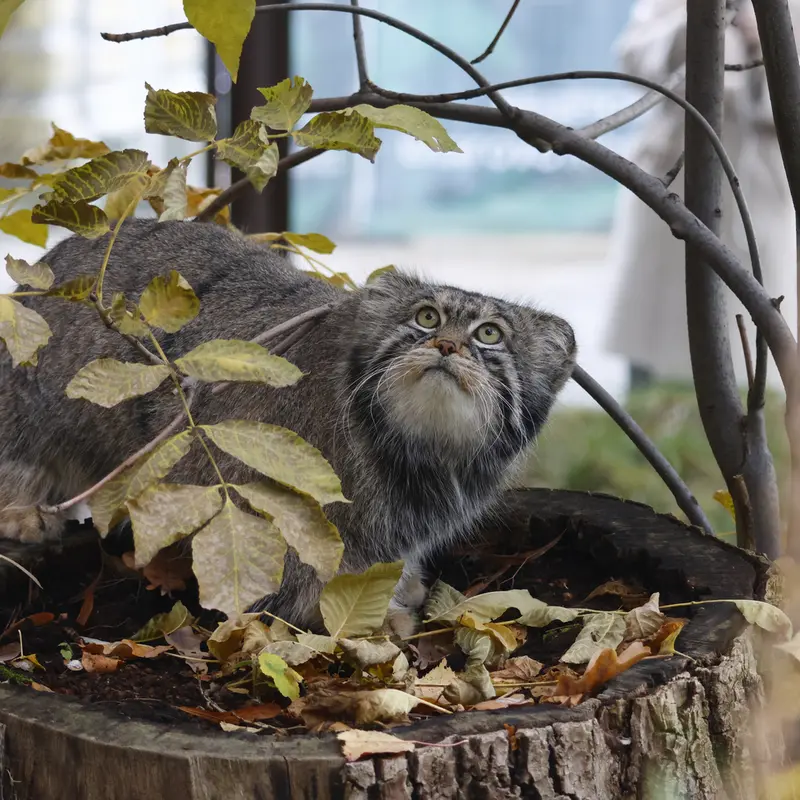 A photograph of Timofey in Moscow zoo