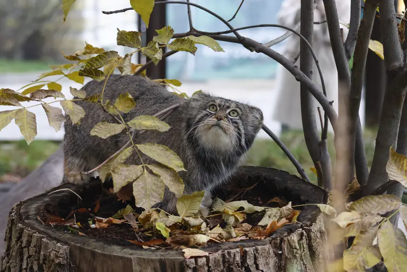 A photograph of Timofey in Moscow zoo