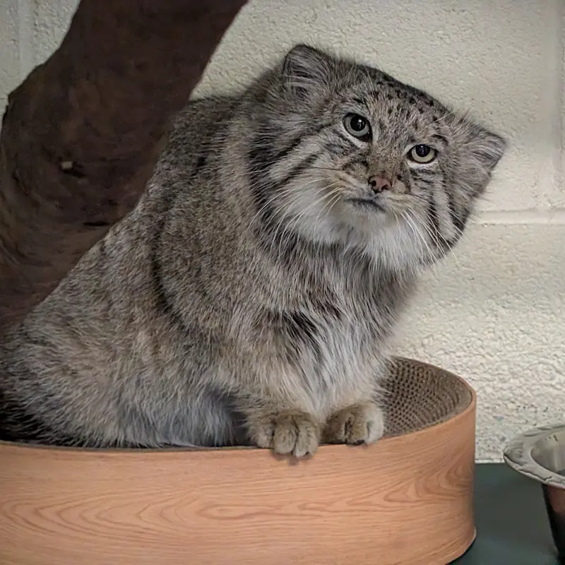 A photograph of Dean in Oglebay Good Zoo