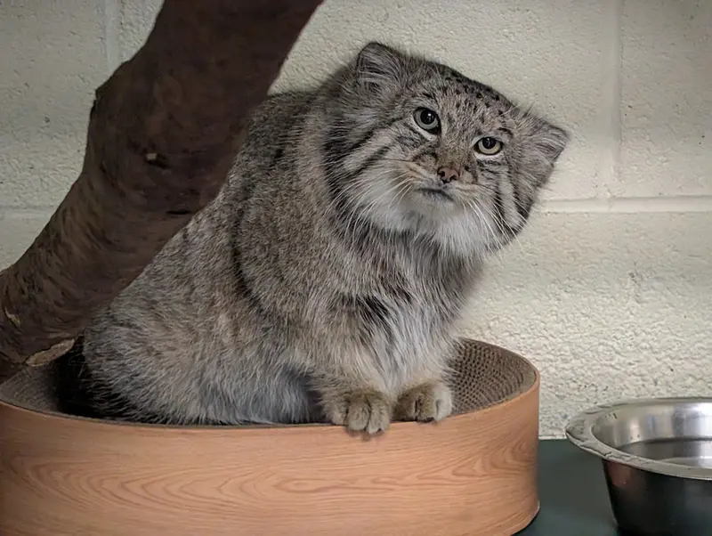 A photograph of Dean in Oglebay Good Zoo