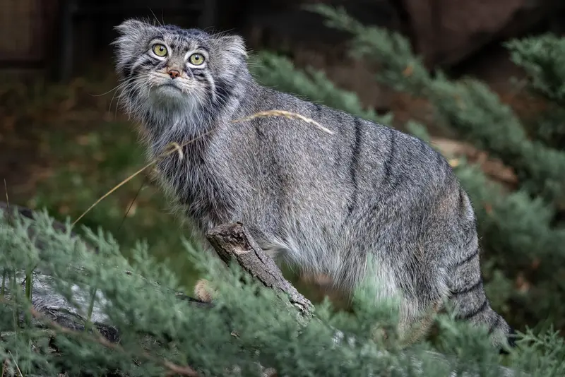 A photograph of Timofey in Moscow zoo