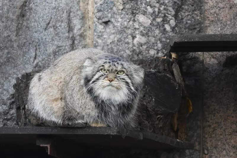 A photograph of Timofey in Moscow zoo
