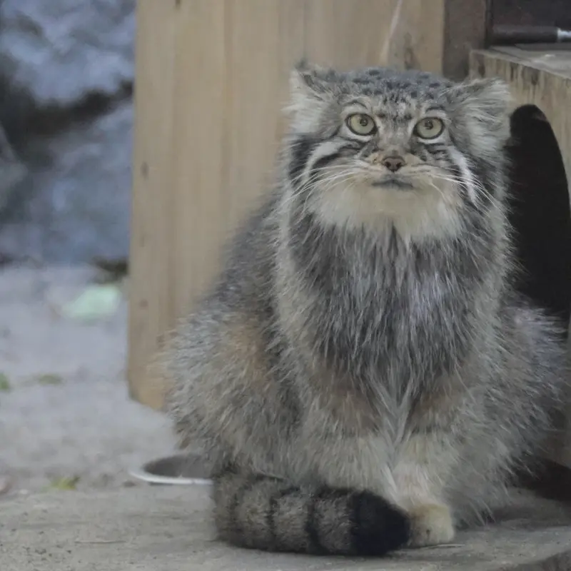 A photograph of Eve in Novosibirsk Zoo