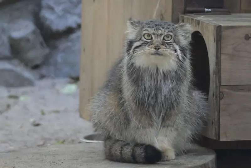 A photograph of Eve in Novosibirsk Zoo