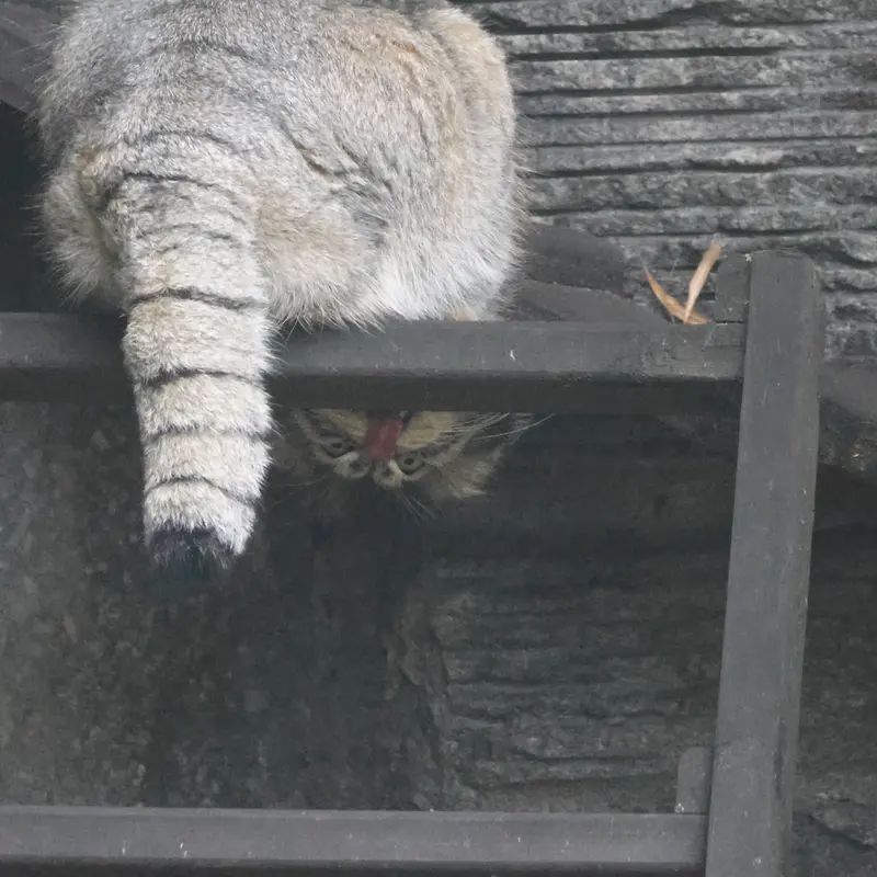 A photograph of Timofey in Moscow zoo