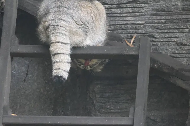 A photograph of Timofey in Moscow zoo