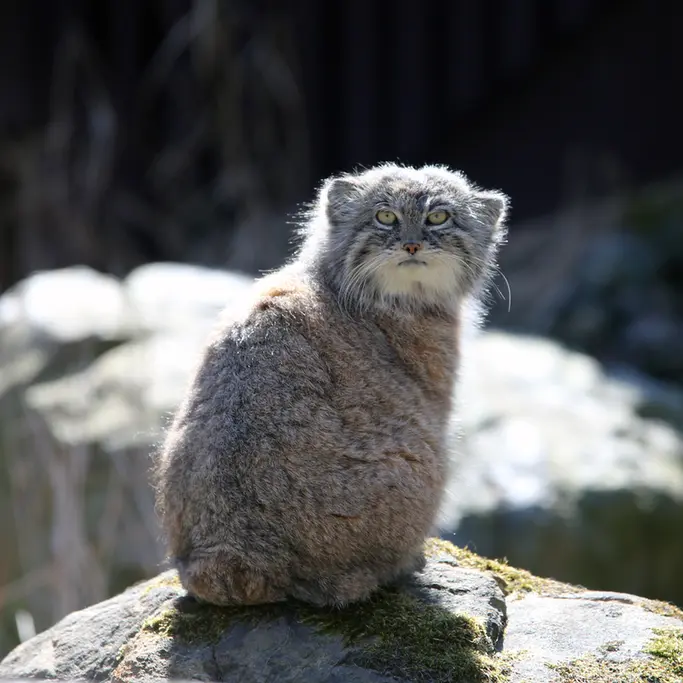 A photograph of Moira in Ostrava Zoo