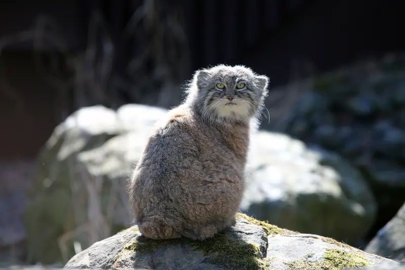A photograph of Moira in Ostrava Zoo