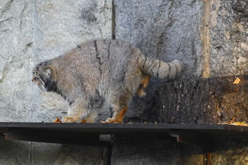 A photograph of Timofey in Moscow zoo