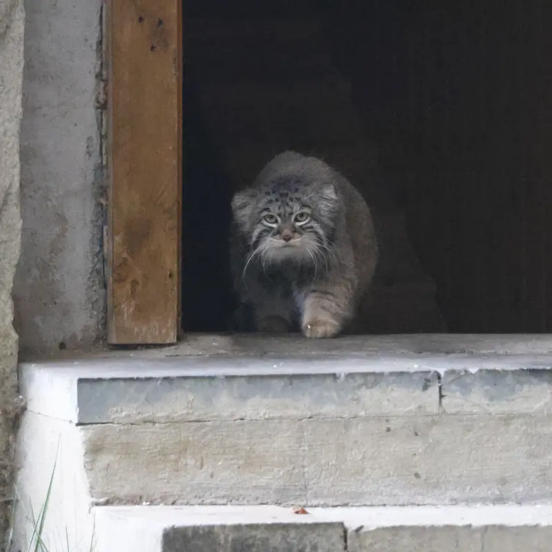 A photograph of Timofey in Moscow zoo