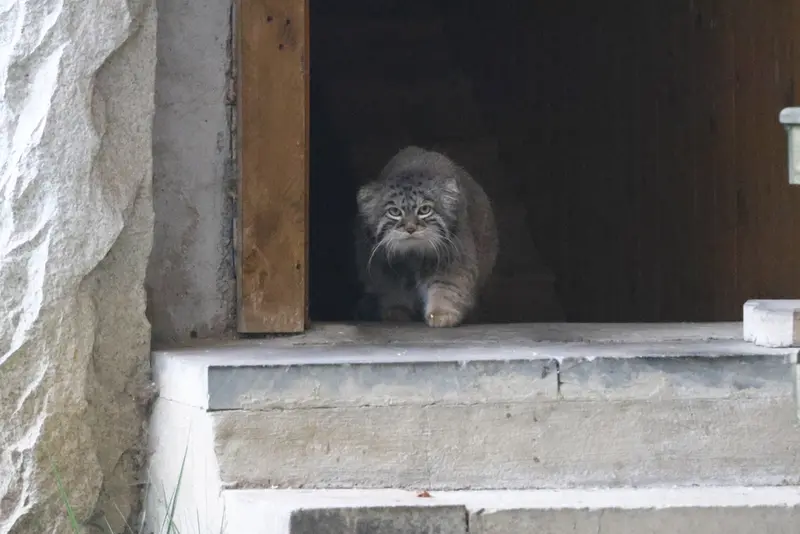 A photograph of Timofey in Moscow zoo