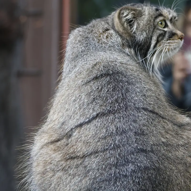 A photograph of Timofey in Moscow zoo