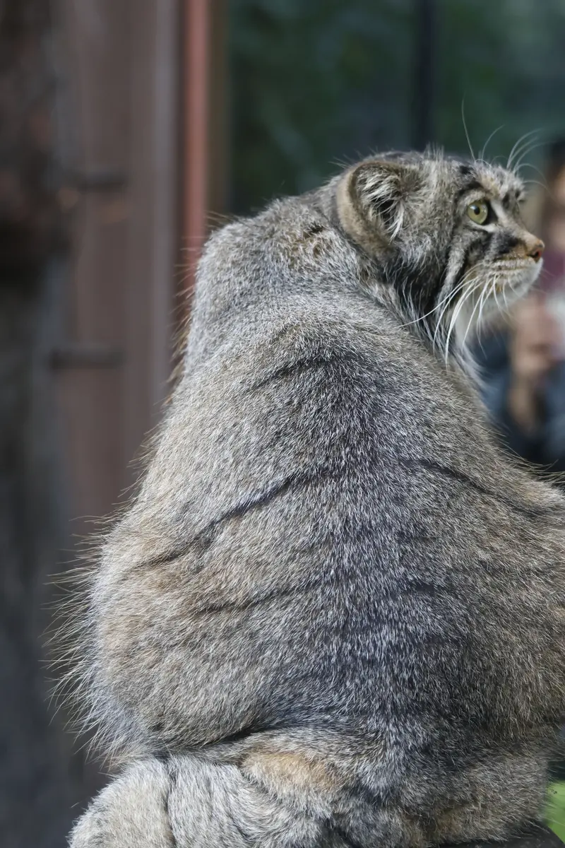 A photograph of Timofey in Moscow zoo