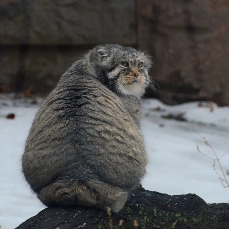 A photograph of Vadim in Moscow zoo