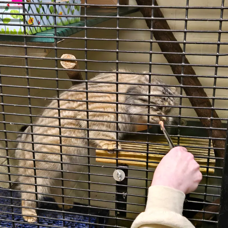A photograph of Dean in Oglebay Good Zoo