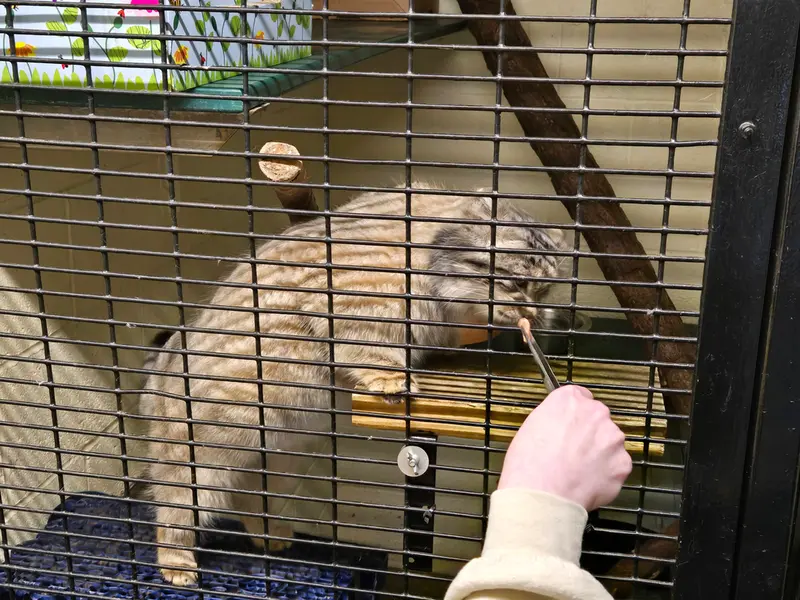 A photograph of Dean in Oglebay Good Zoo